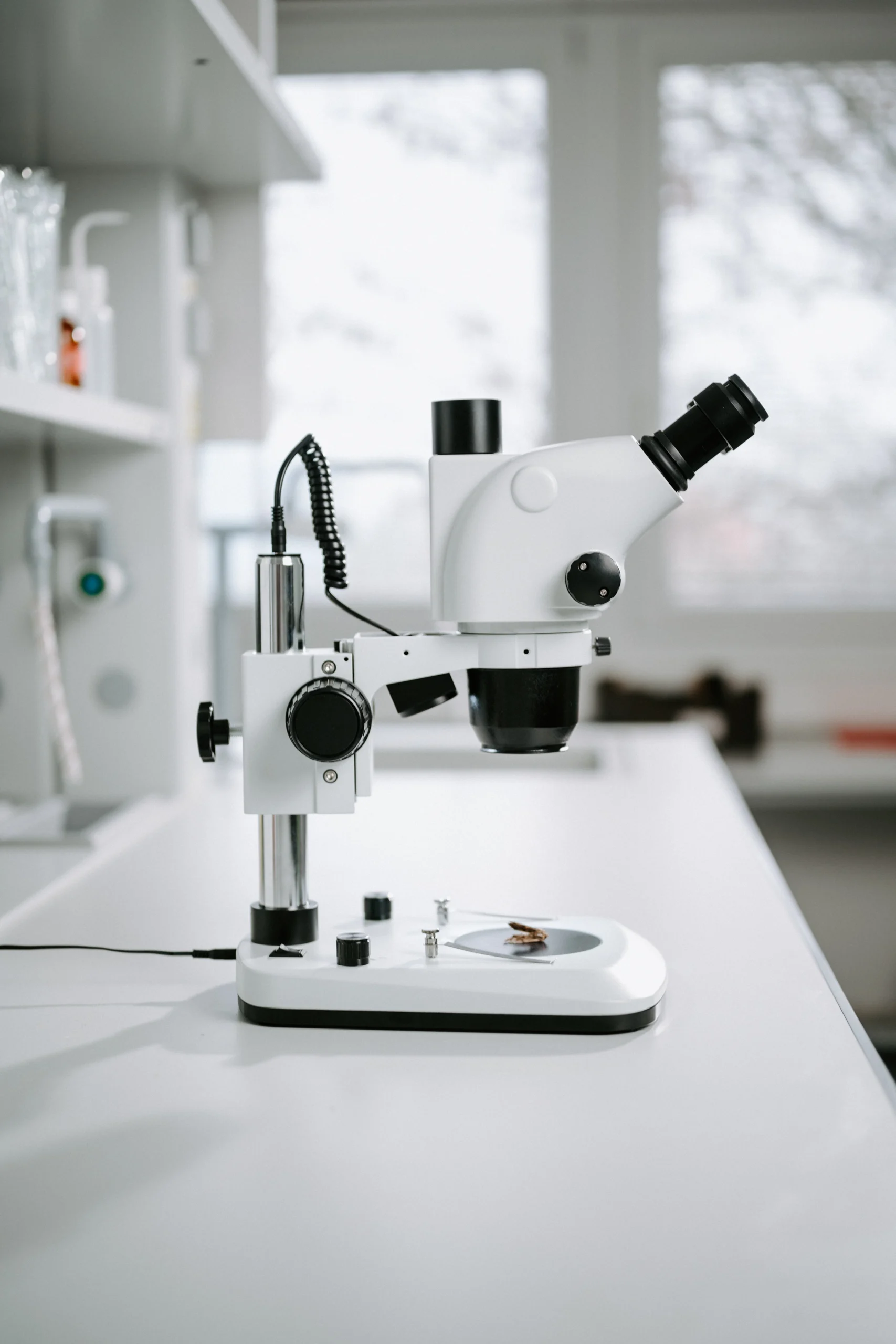 MS Stereo 300 - Obrázek 17