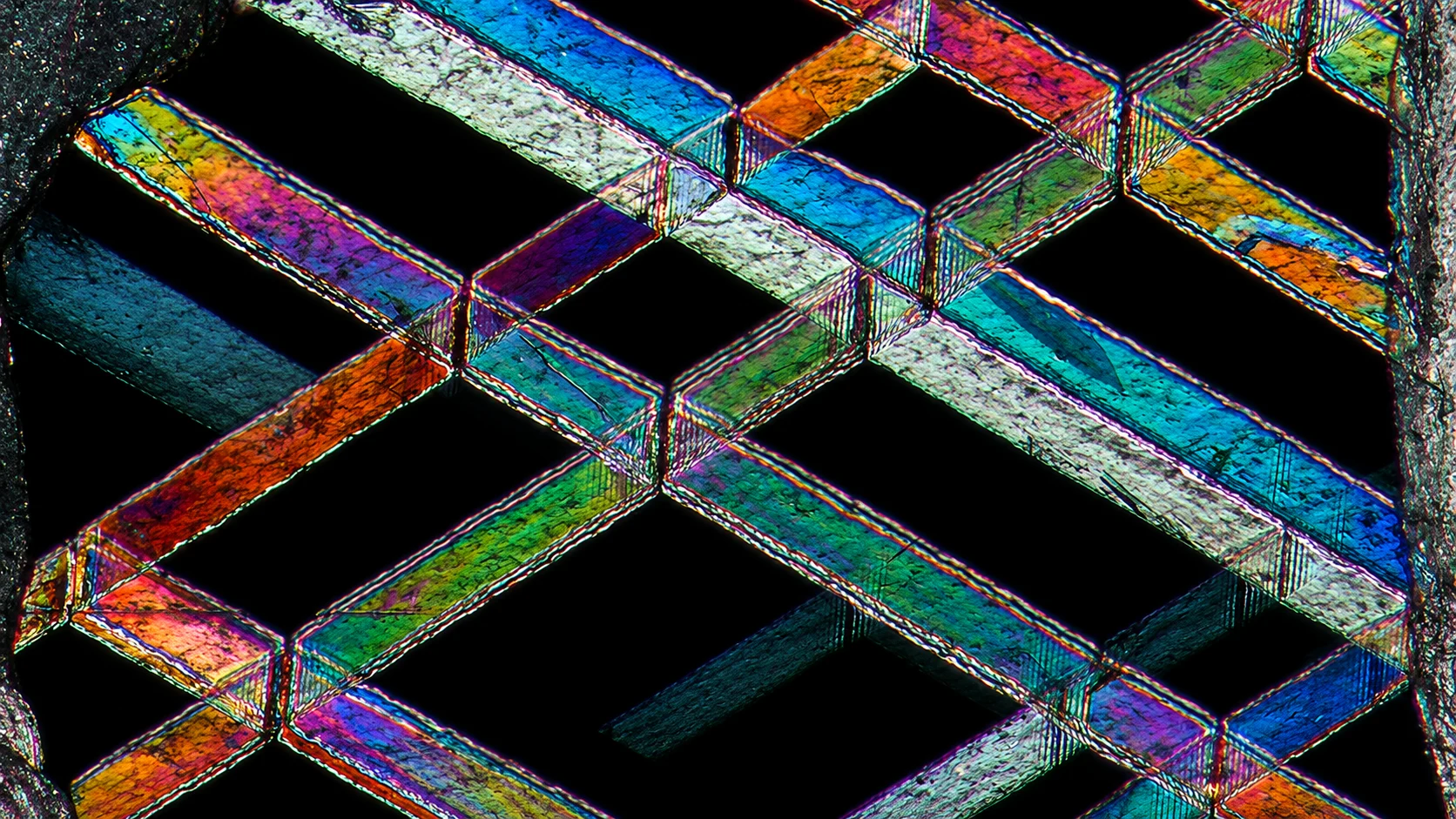 Nexcope Polar 600 - Obrázek 6